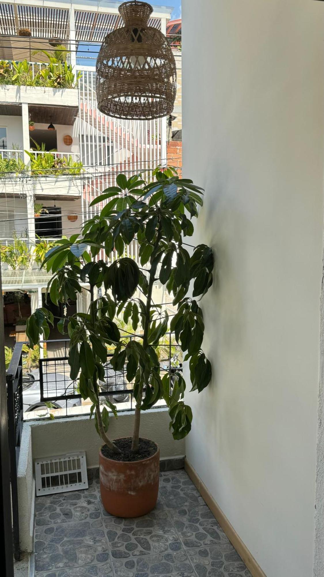מדיין Luum Casa Hotel Manila מראה חיצוני תמונה